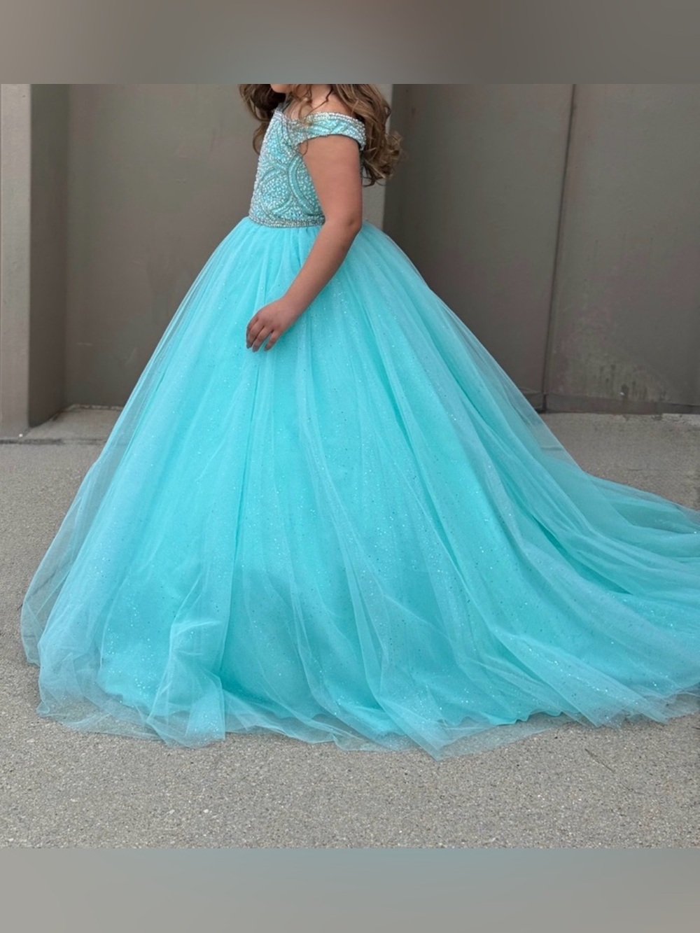 Tiffany Princess Beaded Tulle Ball Gown - Picture 2 of 8